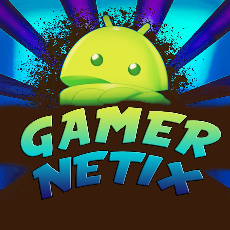 GamerNetix