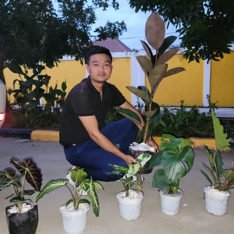 Curon Garden