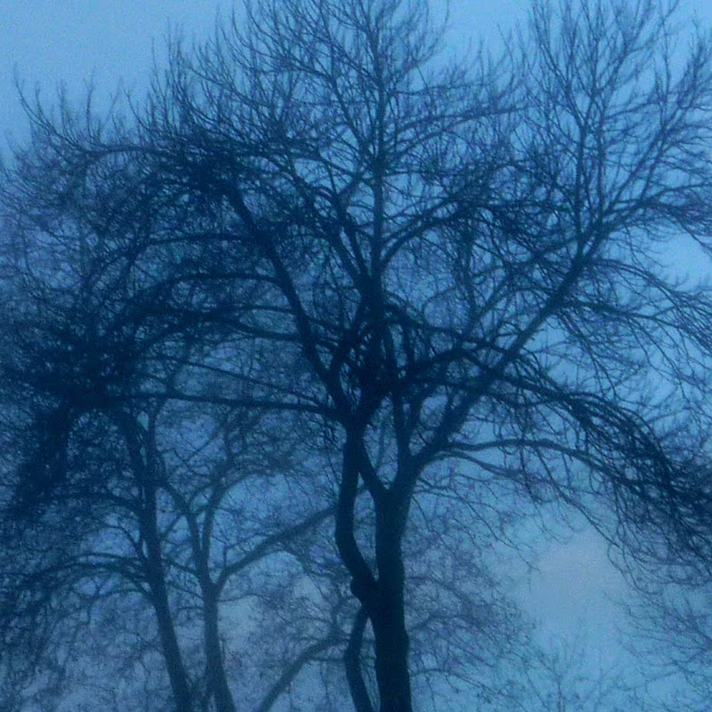 Leñador Films TV - Channel 2