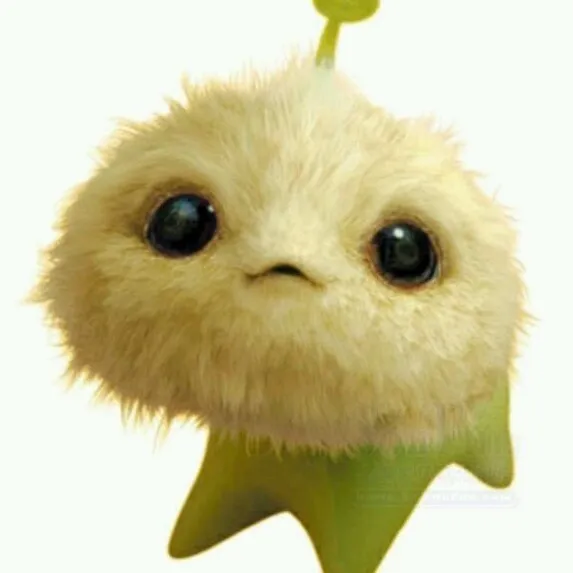 mattaeoi