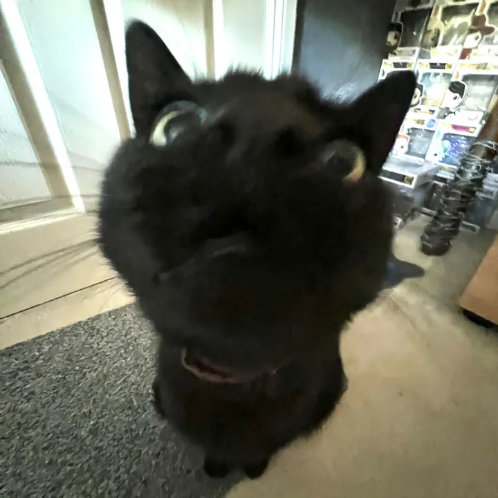 kirbya6