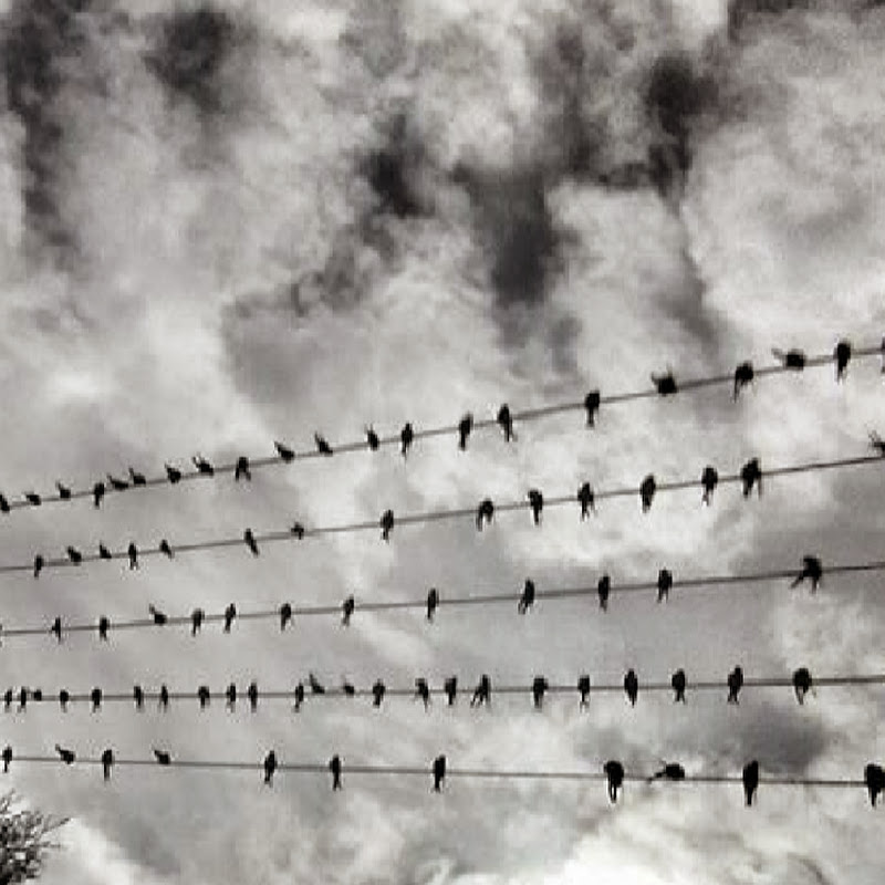 Wojciech Juśkiewicz (Siepaniedzieje)