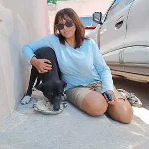 Stray Paws Animal Rescue