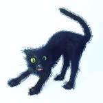 La Petite Couverture Noire