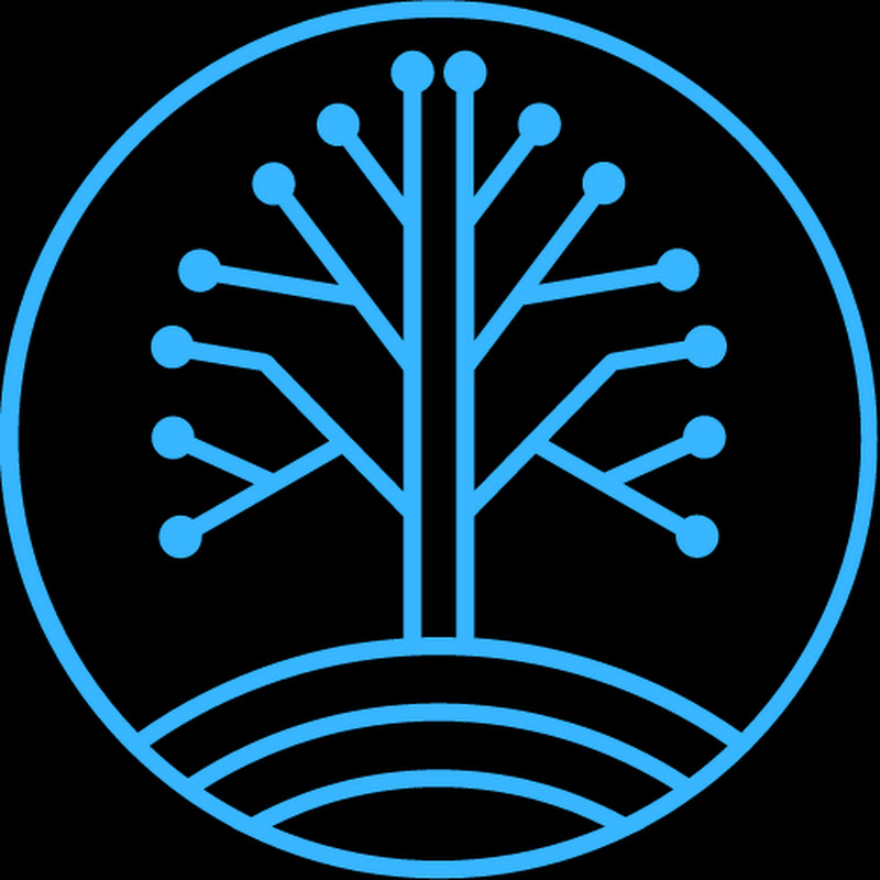 TreeCityWes