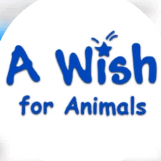 Awish For Animals Org