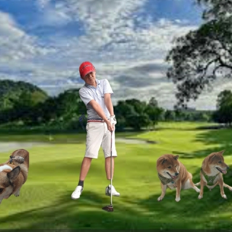 GolfswingsandPets
