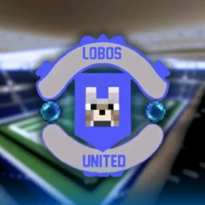 LOBOS UNITED 💙🩶
