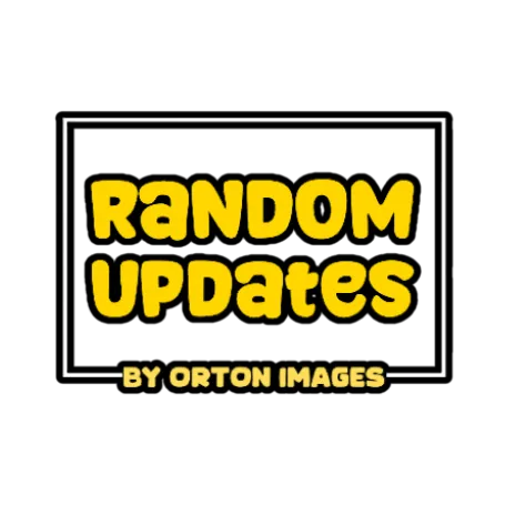 Random Updates