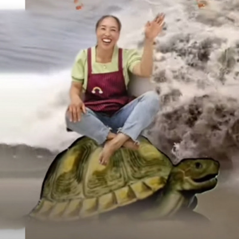 Amazing Special Effects