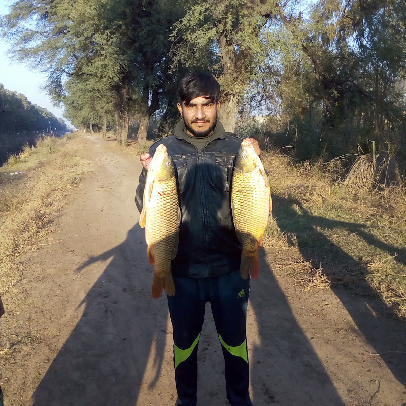 fishing techniques 89nb 