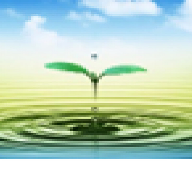 Sharing thoughts & VLOG