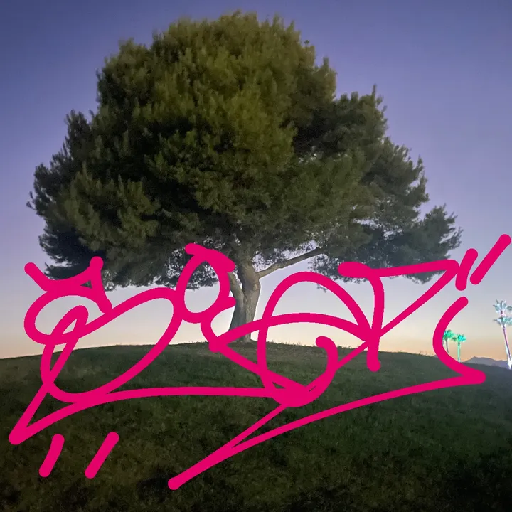 siezoner