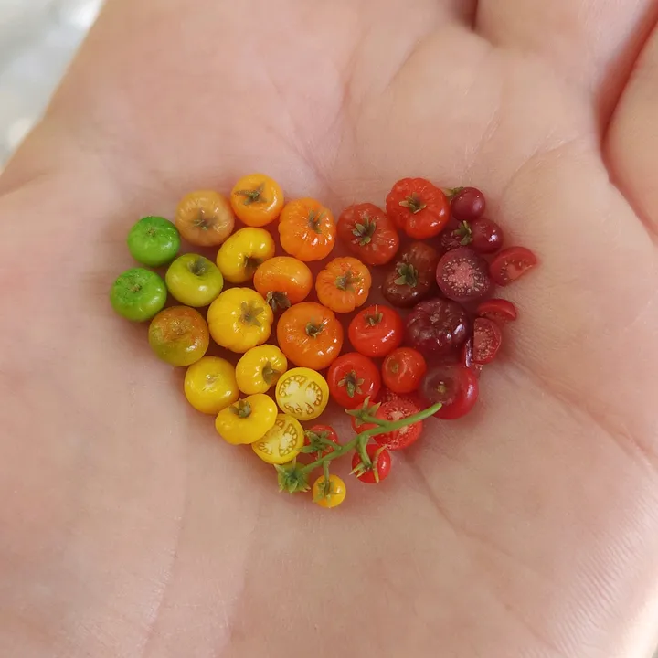 Moon Lighting 🇳🇿