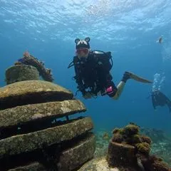 dive_gosha