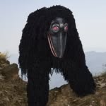 nabokong