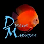 Discus Madness Inc