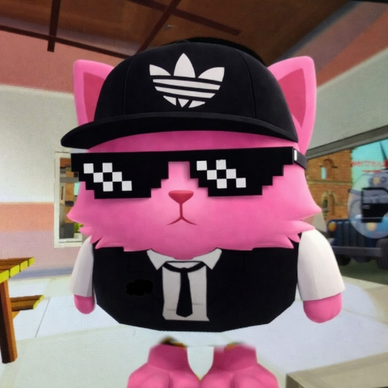 gatito rosado y Alejo