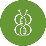 betabugsltd