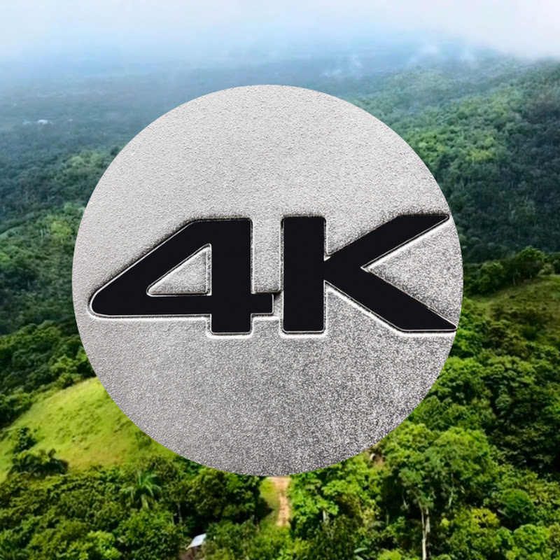 Travel with Albert v1