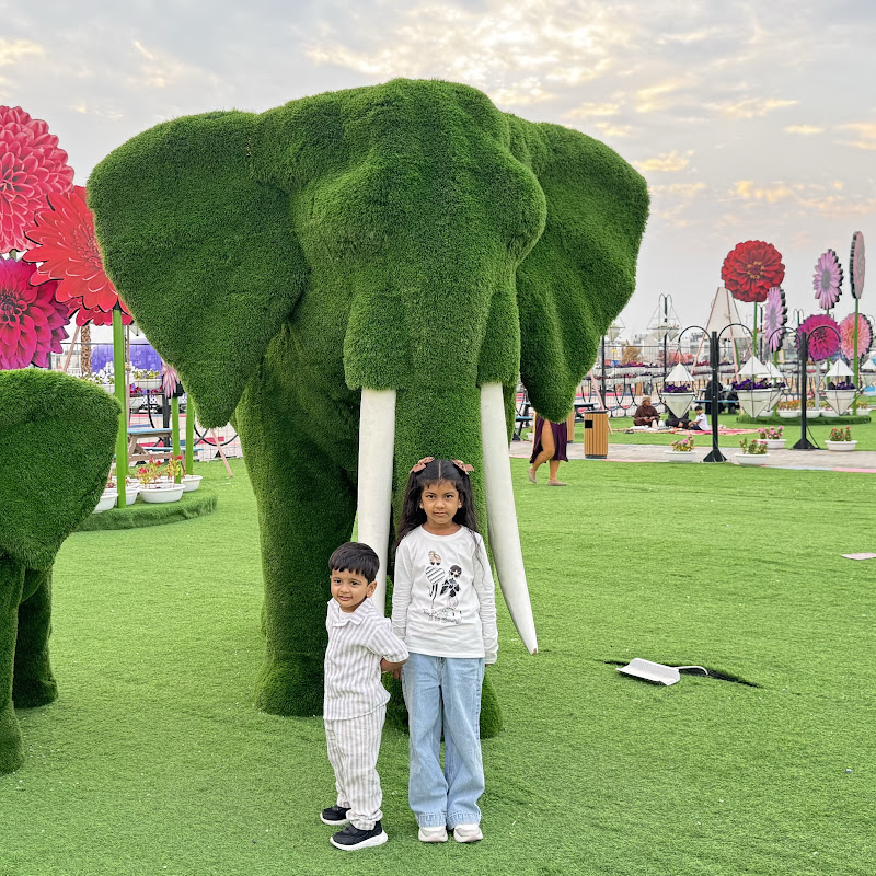 Afraa & Safwan