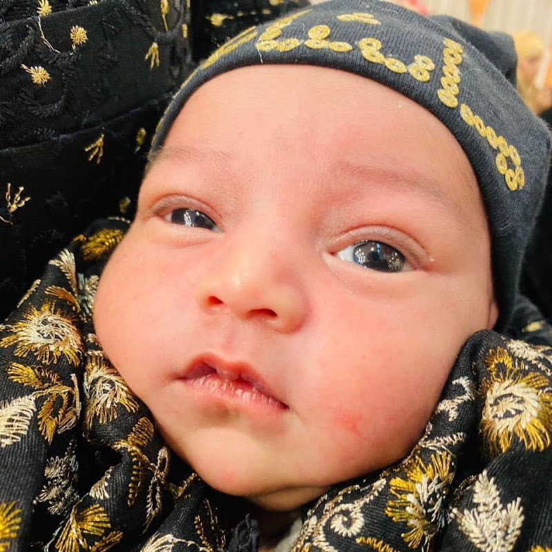 Muhammad Moosa Vlogs