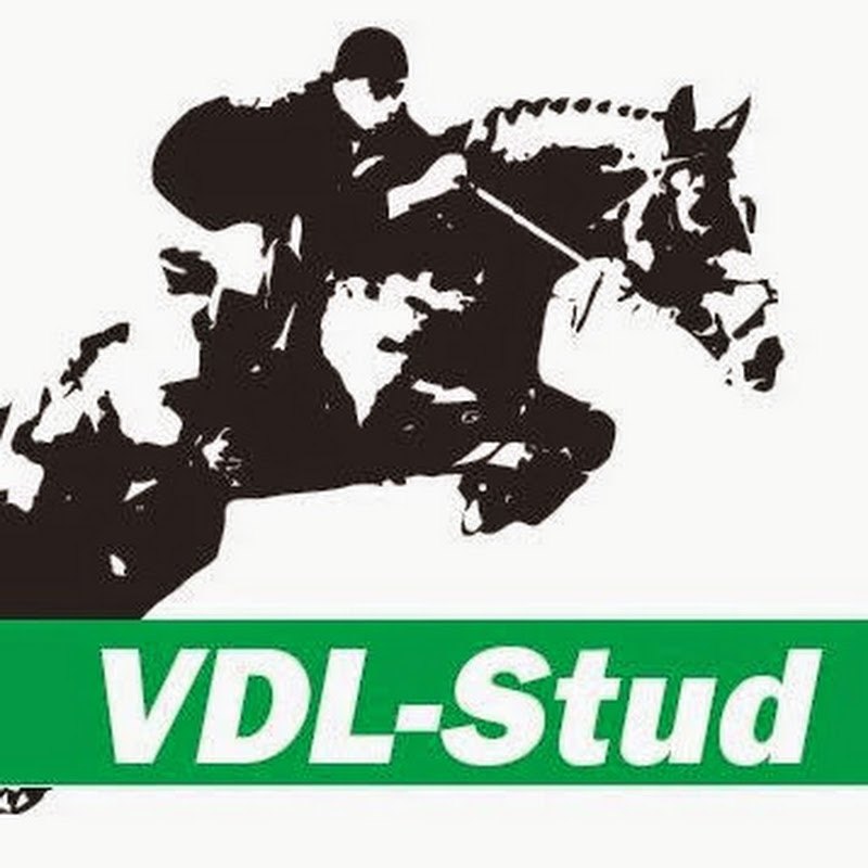 VDLSTUDHORSES