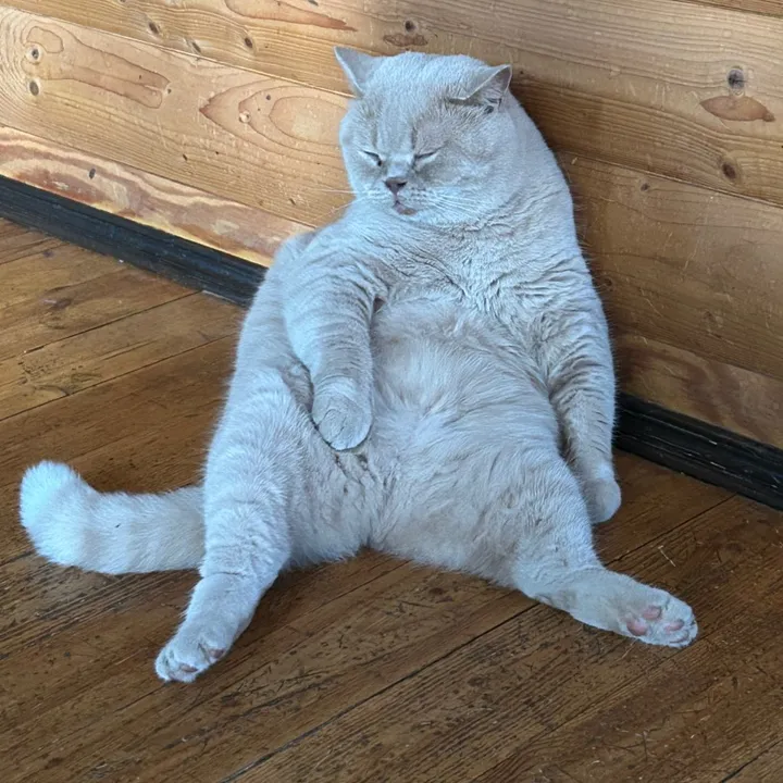 Katastrophic