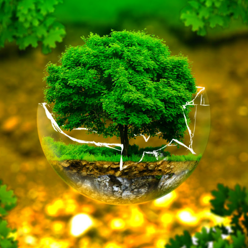 Gentle Relaxation Space