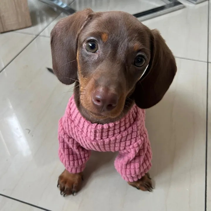 Lusia
