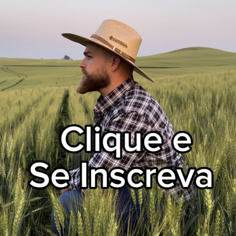 Marcelo Honaiser