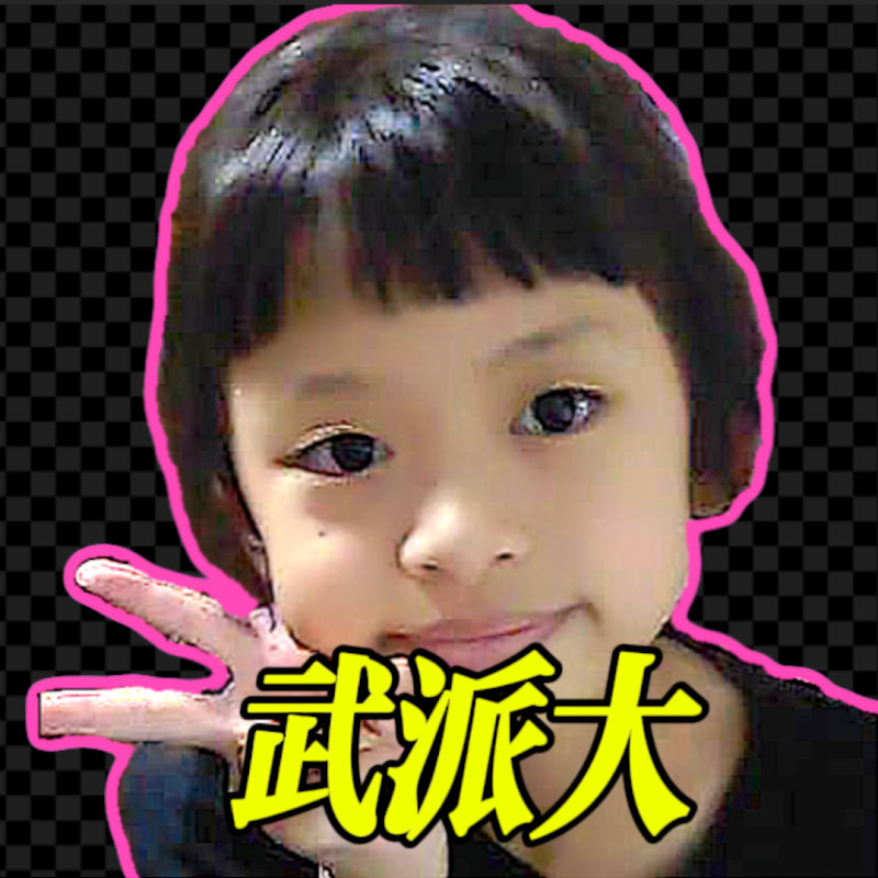 武派大