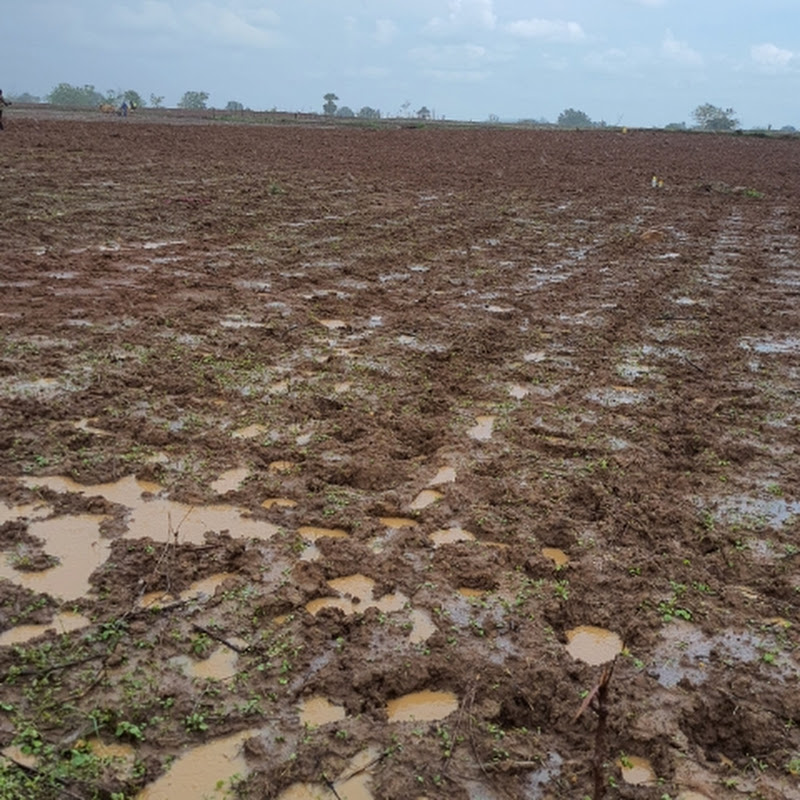 Telugu Village Agriculture