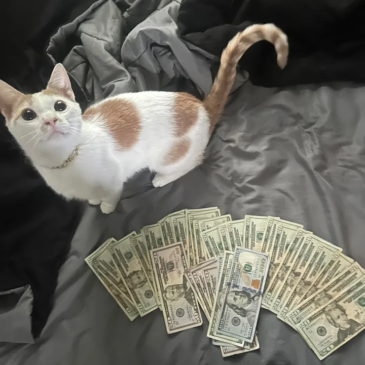 Kev