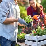 Gardening