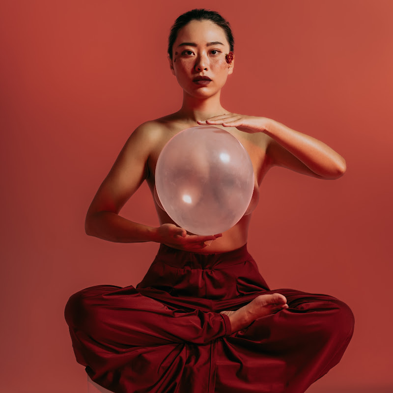 拉布拉多小貓咪 Born to explore 