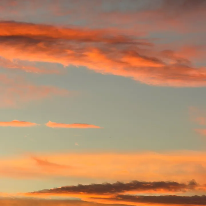 🙏🏻