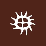 Bazar Bizar - Living