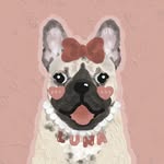 Luna the Frenchie 🇵🇭