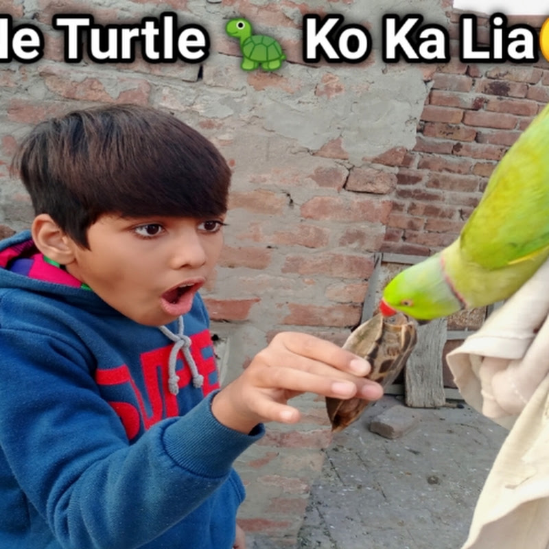 Rizwan Pets Vlog