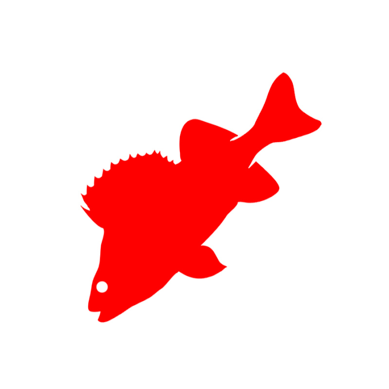 Andrews Knots Fishing