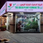 GREEN PLANTS & FLOWERS