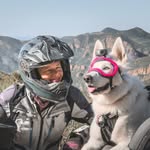 GoRUFFLY Around the World