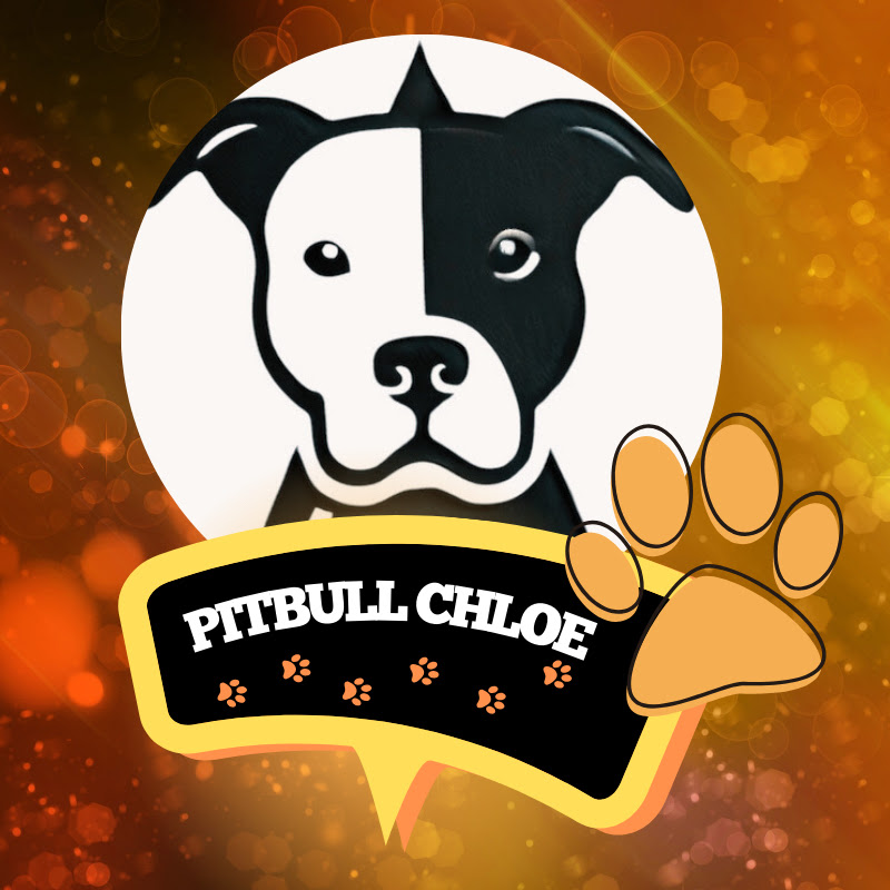 PitbullChloe