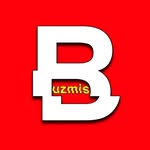 Buzmis.co