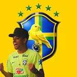 𝐂𝐀𝐍𝐀𝐑𝐈𝐍𝐇𝐎𝐒 🐤