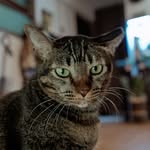 tsuki🌙