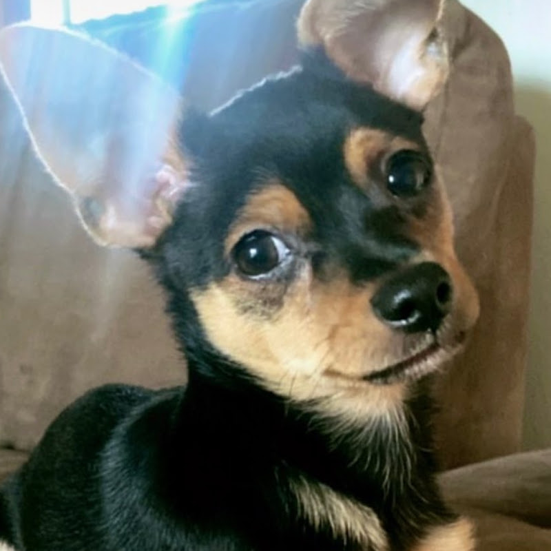 Sir Benjamin Barks 