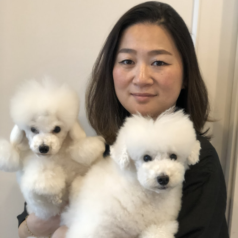  UNIQUE TOKYO Dog Grooming By Yukiko
