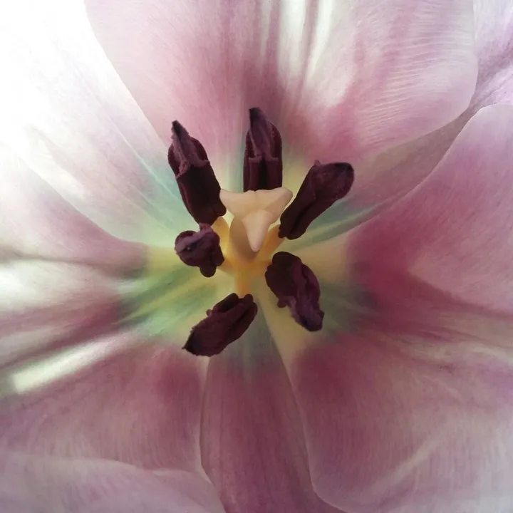 เอ๊ะชอบแต่งนูทรัล ☆